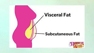 Why Visceral Fat Could Be The Reason Behind Your Weight Problems