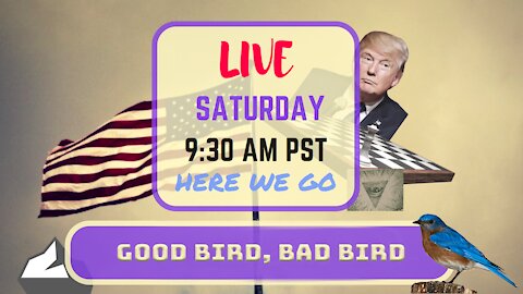 Saturday *LIVE* Good Bird, Bad Bird Edition
