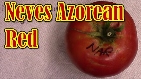 Tomato Review: Neves Azorean Red (NAR)