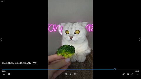 See cat reaction to broccoli