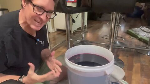 Making Blueberry Wine Day 2