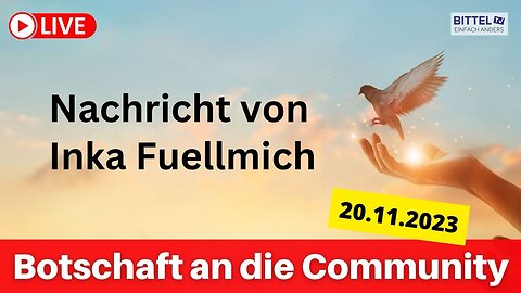 ICIC Nachricht von Frau Fuellmich 2023-11-20