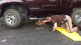 Deputy rescues buck trapped under truck in Hendricks County