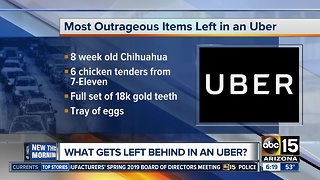 Most outrageous, common items left in an Uber