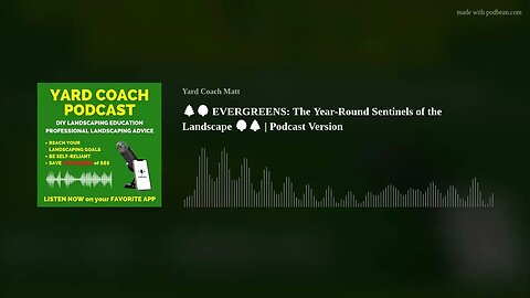 🌲🌳 EVERGREENS: The Year-Round Sentinels of the Landscape 🌳🌲 | Podcast Version
