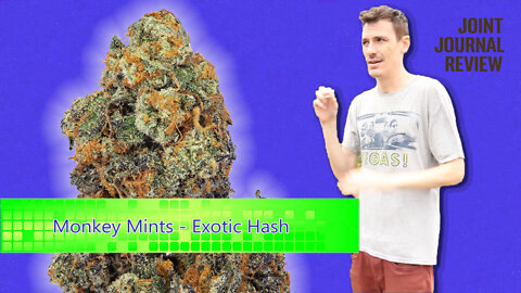 Kushector Joint Journal Review - Monkey Mints by: Exotic Hash