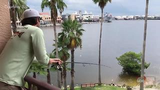 WATCH | Man catches snook while fishing from third floor balcony