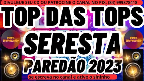 TOP DAS TOPS SERESTA PRA PAREDÃO 2023 SELEÇÃO COM AS MAIS TOCADAS DE SERESTA DE BAR 2023