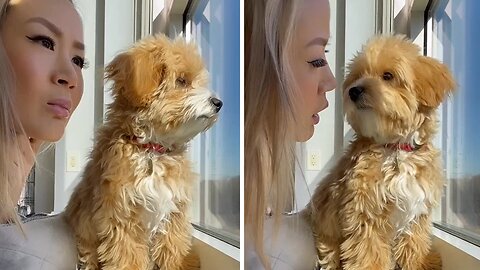 Mom joins pup to look out the window