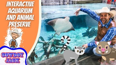 Interactive Aquarium Fun | Cowboy Jack
