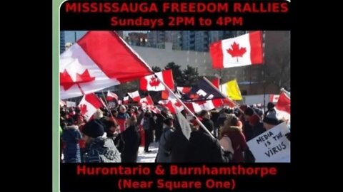 Mississauga Ontario Freedom Fighters will not give up, the war to regain freedom has just begun...