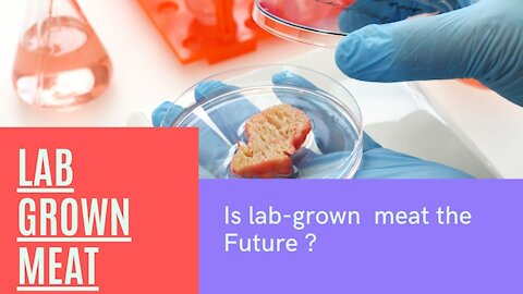 Why do we need Lab grown meat ?