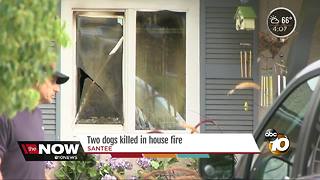 Two dogs killed in house fire in Santee