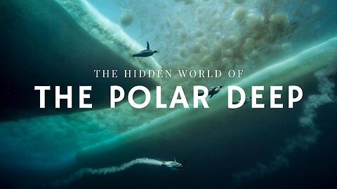 Giants of the Polar Deep | Nature World Explore