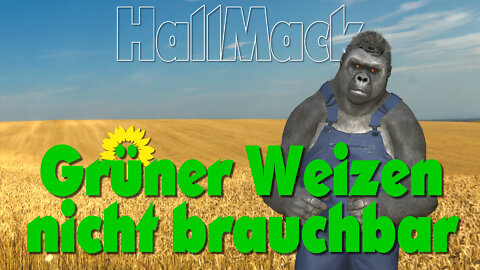 Grüner Weizen, nicht brauchbar