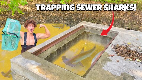 Trapping MONSTER Freshwater Sharks In Sewer!