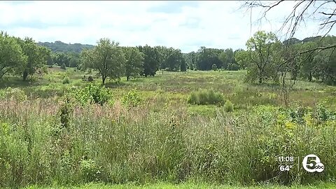 Former Akron golf course becoming haven for wildlife, native plants