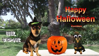 @pixeladog Happy Halloween