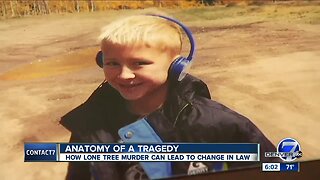 Calls for change, dedicated family law courts, after Lone Tree murder-suicide