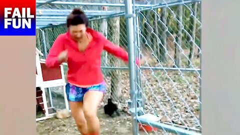 Stressed rooster drives the woman out of the henhouse.😂🐓 (FailFun)