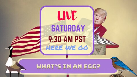 Saturday *LIVE* What's In An Egg? Edition