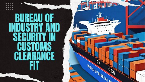 Simplifying Customs Clearance: The Role of BIS Explained