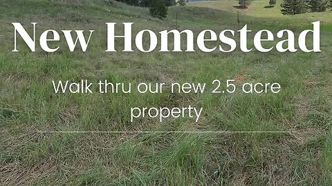 New Homestead Tour! 2.5 acre property, USDA zone 5