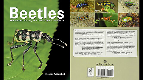 Beetles: The Natural History and Diversity of Coleoptera