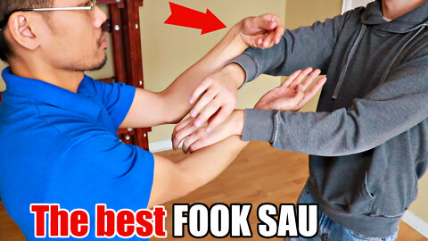 How Many FOOK SAU Are There? And Which Is THE BEST One For Chi Sao?