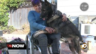 Crash victim struggles to replace wheelchair