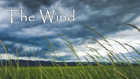The Wind (captioned) - A post apocalyptic tale.