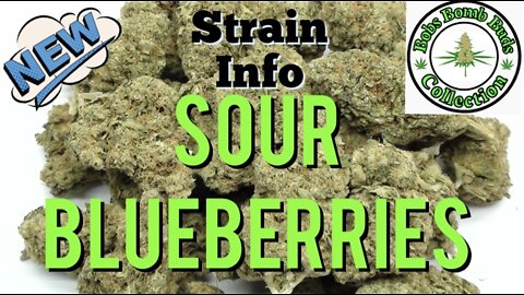 Sour Blueberries