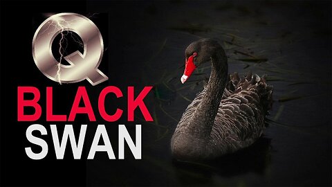 Christian Patriot News - Black Swan Event Will Cancel 2024 Election! 10x Worse Than 9/11