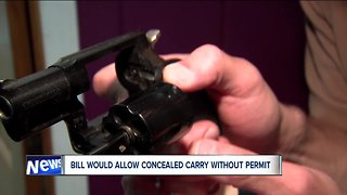 Proposed 'constitutional carry' measure would eliminate need for gun safety training