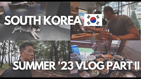 VLOG #3: Exploring Busan, 꼬막비빔밥, Arcade, Dog Cafe, New Puppy (?), Local Concert, Costco and More