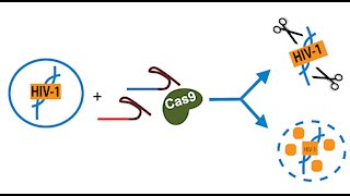 CRISPR -THE CURE FOR AIDS…THE CURE FOR SIN?