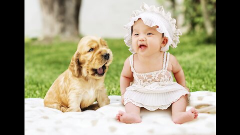 Dogs and Babies - Cute and fun compilation