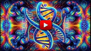 DNA The Blueprint of Life