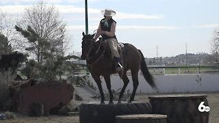 Competitive Mountain Trail Riding showcases the bond between riders and their horse