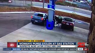 Woman's purse stolen from her car