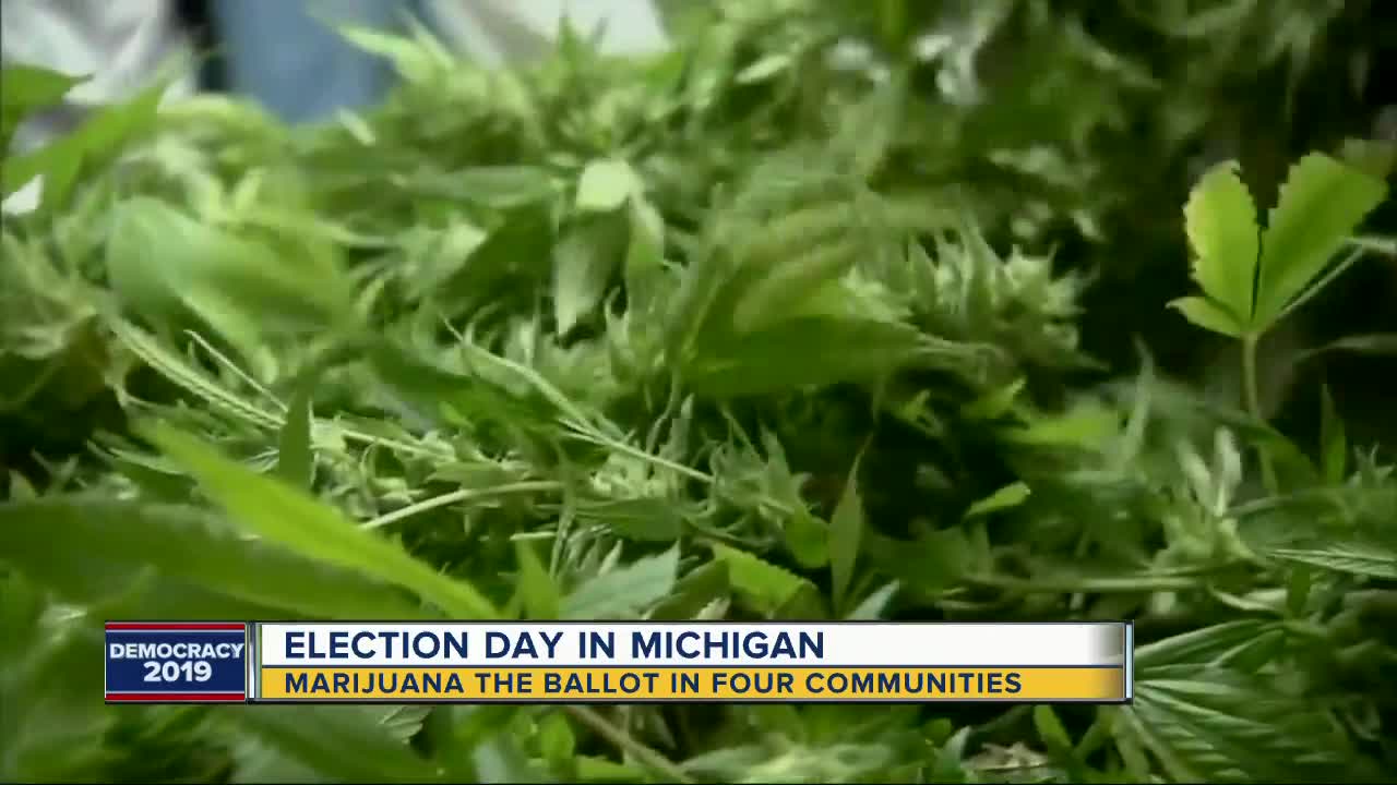 Marijuana proposals on the ballot in 4 metro Detroit communities