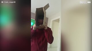 Dad gets boxed in while playing with son