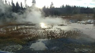 More of the Upper Geyser Basin in Yellowstone