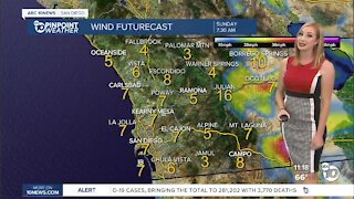 ABC 10News Pinpoint Weather with Meteorologist Leah Pezzetti