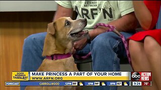 Rescues in Action May 25 | Princess is precious