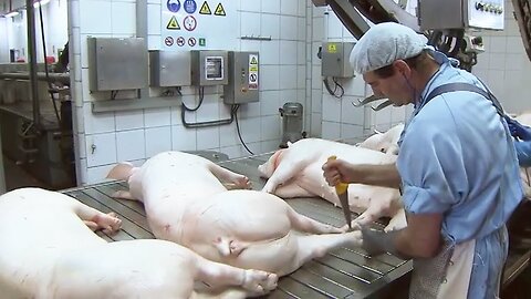 🐷🔥 Inside a High-Tech Pork Slaughter & Sausage Factory! 💰🍖