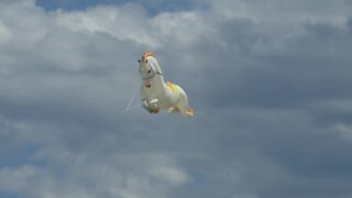 Kites over Lake Michigan