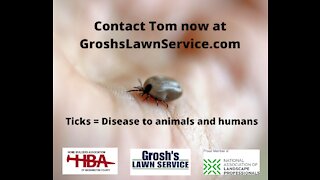 Ticks Lawn Care Treatments Williamsport MD