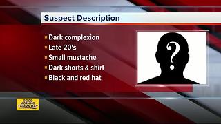 Possible abduction in Tampa; Witnesses see a man force woman into a black 2017 Ford Fusion