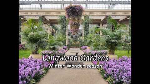 Longwood Gardens Winter Wonder season